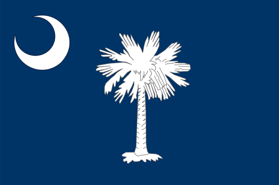 South-Carolina-State-Flag-1.png – Confederate Flags by Ruffin Flag Company